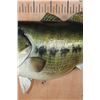 Image 4 : XXL Reproduction LARGE MOUTH BASS Fish Mount