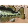 Image 5 : XXL Reproduction LARGE MOUTH BASS Fish Mount
