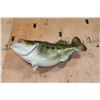 Image 7 : XXL Reproduction LARGE MOUTH BASS Fish Mount