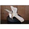Image 2 : Alaskan Native or Inuit Hand-carved WHALE Vertebra Sculpture