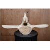 Image 6 : Alaskan Native or Inuit Hand-carved WHALE Vertebra Sculpture