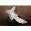 Image 7 : Alaskan Native or Inuit Hand-carved WHALE Vertebra Sculpture