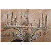 Image 9 : XL Typical 15-Point WHITETAIL DEER Wall Pedestal Mount