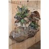 Image 3 : Life-sized BLUE DUIKER with a Life-sized PETER'S DUIKER on a Decorative Wall Base