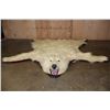 Image 1 : POLAR BEAR Hide or POLAR BEAR Rug