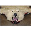 Image 2 : POLAR BEAR Hide or POLAR BEAR Rug