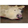 Image 4 : POLAR BEAR Hide or POLAR BEAR Rug