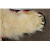 Image 6 : POLAR BEAR Hide or POLAR BEAR Rug