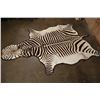 Image 2 : *Brand New* ZEBRA Hide or ZEBRA Hide Rug with Padded Carpet Backing and Fabric Piping