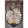Image 3 : *Brand New* ZEBRA Hide or ZEBRA Hide Rug with Padded Carpet Backing and Fabric Piping