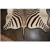 Image 4 : *Brand New* ZEBRA Hide or ZEBRA Hide Rug with Padded Carpet Backing and Fabric Piping