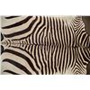 Image 5 : *Brand New* ZEBRA Hide or ZEBRA Hide Rug with Padded Carpet Backing and Fabric Piping