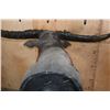 Image 10 : XXL WATER BUFFALO Pedestal Mount