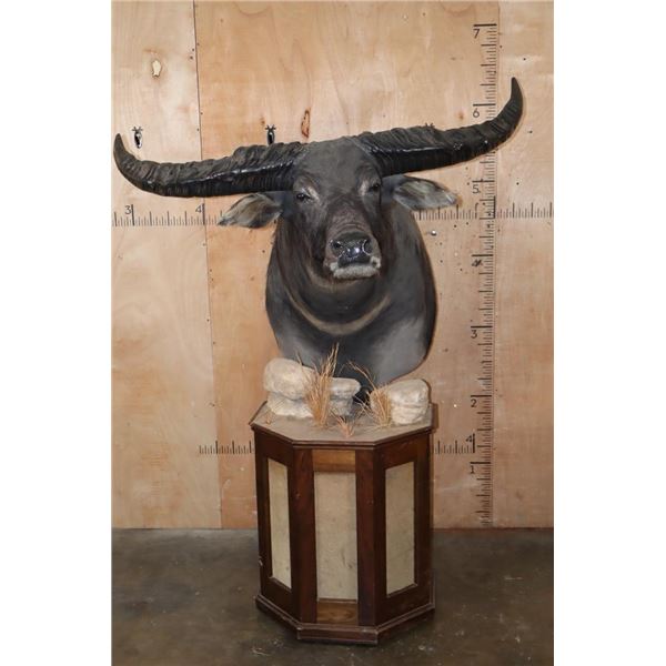 XXL WATER BUFFALO Pedestal Mount