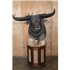 Image 1 : XXL WATER BUFFALO Pedestal Mount