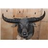 Image 2 : XXL WATER BUFFALO Pedestal Mount