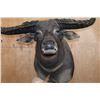 Image 6 : XXL WATER BUFFALO Pedestal Mount