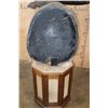 Image 9 : XXL WATER BUFFALO Pedestal Mount