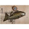 Image 3 : *Sam Smead Estate* Reproduction SMALLMOUTH BASS Fish Mount with Commemorative Plaque