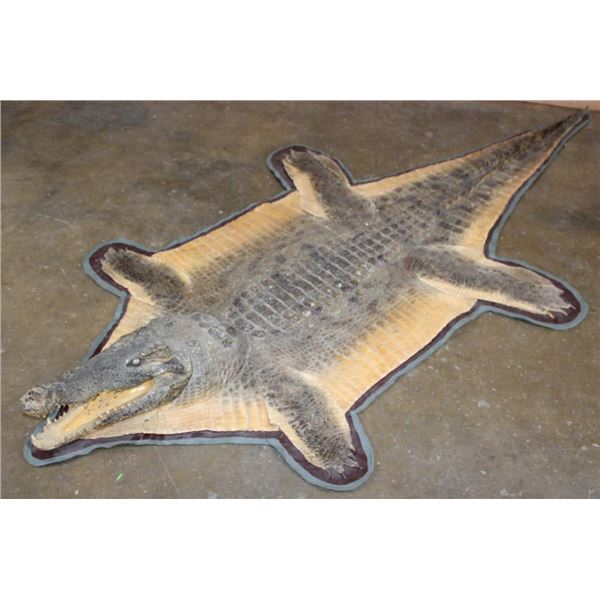NILE CROCODILE Hide Rug with Carpet Backing and Leather Piping