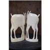 Image 4 : *TEXAS RESIDENTS ONLY* Set of (2) ELEPHANT IVORY Antelope Sculptures Carved from the Same Tusk