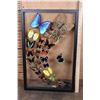 Image 2 : *Brand New* Framed BUTTERFLY Collection with 32 Different Species