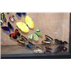 Image 5 : *Brand New* Framed BUTTERFLY Collection with 32 Different Species
