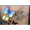 Image 7 : *Brand New* Framed BUTTERFLY Collection with 32 Different Species