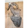 Image 10 : Massive XXL ROCKY MOUNTAIN BIGHORN SHEEP Ram Pedestal Mount on a Rock Wall Base