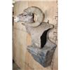 Image 4 : Massive XXL ROCKY MOUNTAIN BIGHORN SHEEP Ram Pedestal Mount on a Rock Wall Base