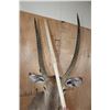 Image 8 : Big WATERBUCK Shoulder Mount