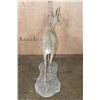 Image 8 : Big Life-sized VAAL RHEBOK on a Natural Base