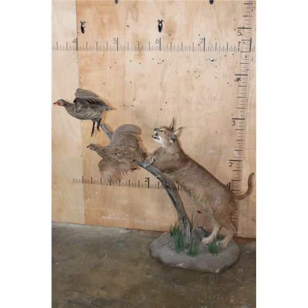 Life-sized CARACAL CAT "Leaping" at 2 FRANCOLIN Birds on a Decorative Base