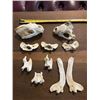Image 4 : (2) WOLVERINE Skulls, (1) Set of WOLF Jaws, and (6) Butterfly Vertebrae from a WOLF and WOLVERINE