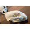 Image 8 : (2) WOLVERINE Skulls, (1) Set of WOLF Jaws, and (6) Butterfly Vertebrae from a WOLF and WOLVERINE
