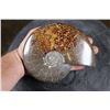 Image 1 : Whole Polished AMMONITE Fossil Specimen with Sutures from Madagascar