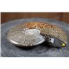 Image 2 : Whole Polished AMMONITE Fossil Specimen with Sutures from Madagascar