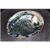 Image 1 : Big Polished Iridescent ABALONE SHELL