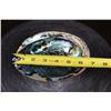Image 2 : Big Polished Iridescent ABALONE SHELL