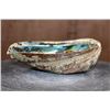Image 3 : Big Polished Iridescent ABALONE SHELL