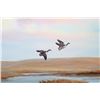 Image 5 : Original Signed Sam A. Roberts Jr. Painting of Waterfowl on Canvas in a Wood Frame