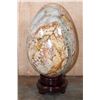 Image 1 : XL Polished PETRIFIED WOOD Egg with Inclusions on a Rotating Wood Display Stand