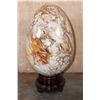 Image 5 : XL Polished PETRIFIED WOOD Egg with Inclusions on a Rotating Wood Display Stand