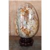 Image 6 : XL Polished PETRIFIED WOOD Egg with Inclusions on a Rotating Wood Display Stand