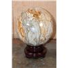 Image 8 : XL Polished PETRIFIED WOOD Egg with Inclusions on a Rotating Wood Display Stand