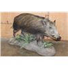 Image 1 : Life-sized BUSHPIG on a Decorative Base with Wheels