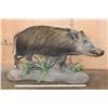 Image 2 : Life-sized BUSHPIG on a Decorative Base with Wheels