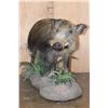 Image 3 : Life-sized BUSHPIG on a Decorative Base with Wheels