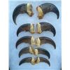Image 1 : Complete Set of (10) XL BLACK BEAR Front Claws in a Display Case
