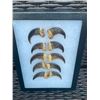 Image 3 : Complete Set of (10) XL BLACK BEAR Front Claws in a Display Case